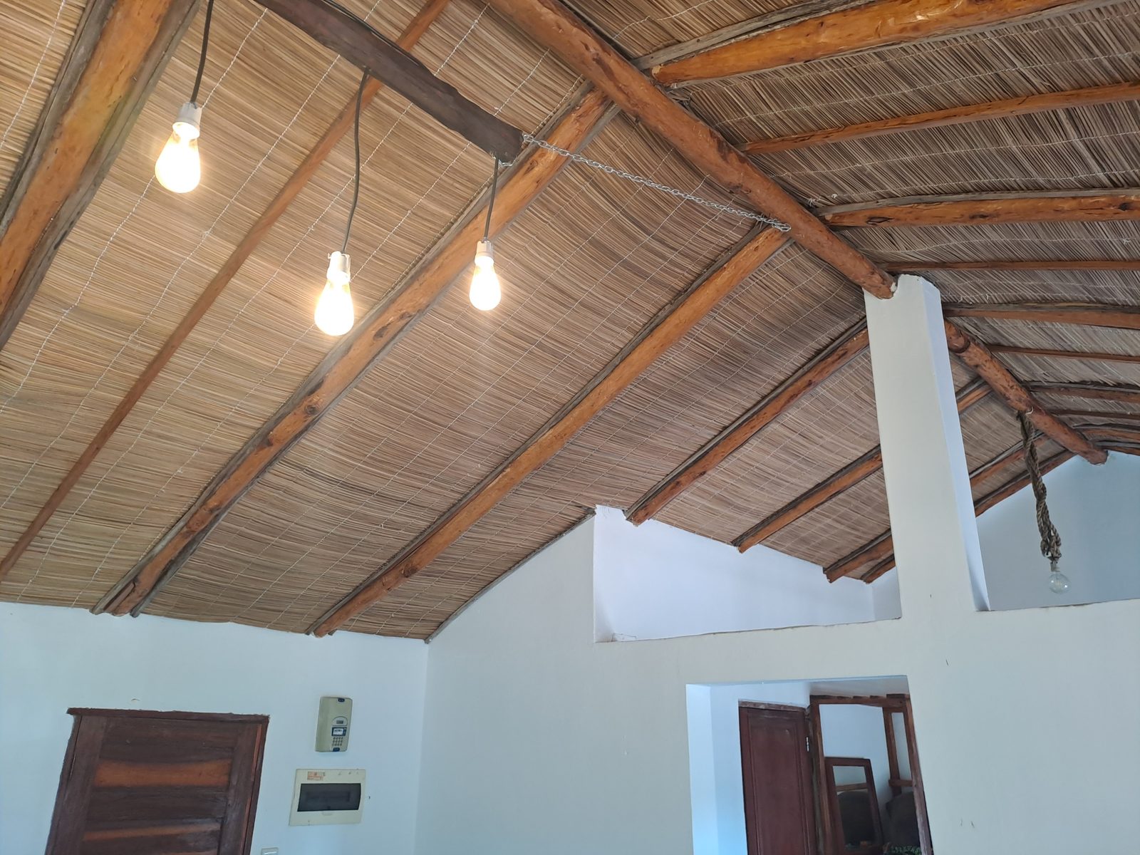 Thatch and timber cathedral ceiling